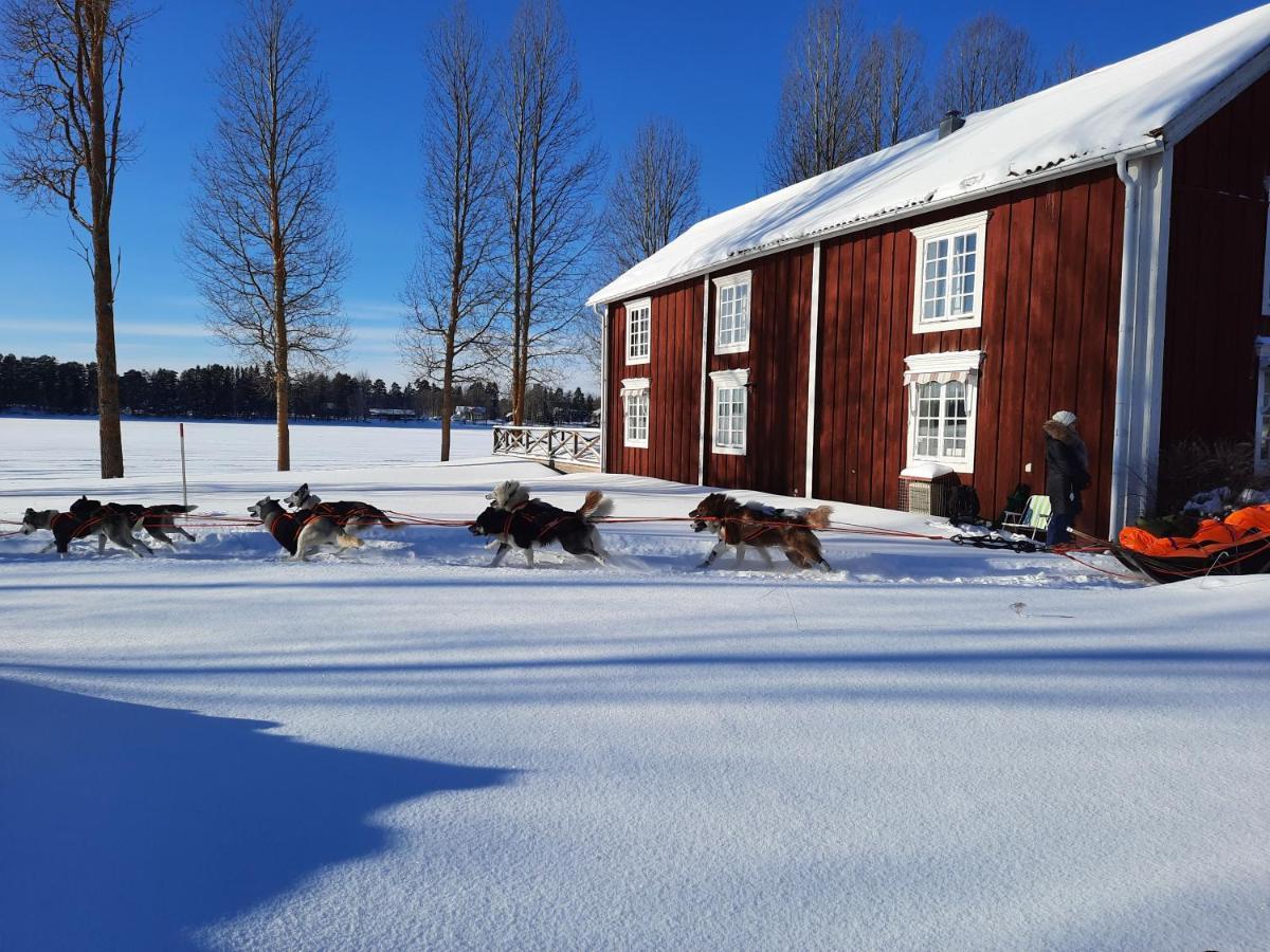 Camp Route 45 Hotel Hammerdal Kültér fotó